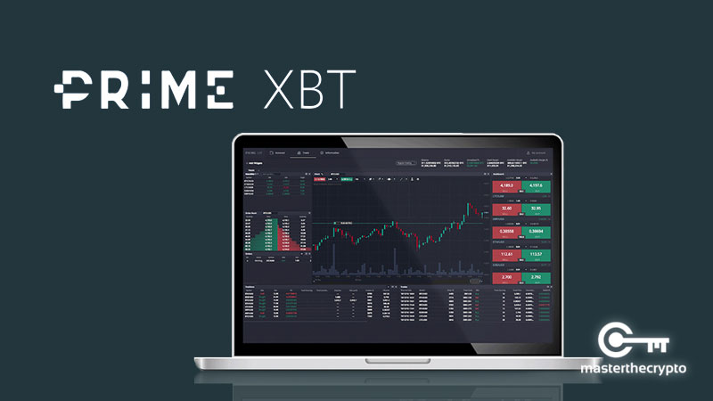 Discovering the PrimeXBT Team Pioneers of the Crypto Trading Revolution