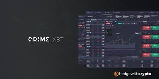 Discovering the PrimeXBT Team Pioneers of the Crypto Trading Revolution
